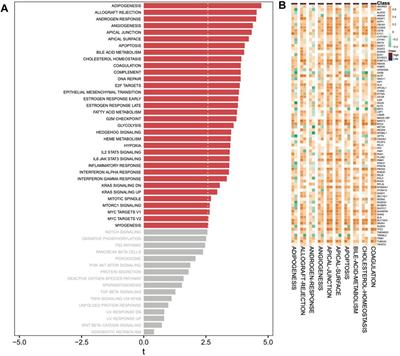 Identification of hub genes and potential molecular mechanisms related to drug sensitivity in acute myeloid leukemia based on machine learning